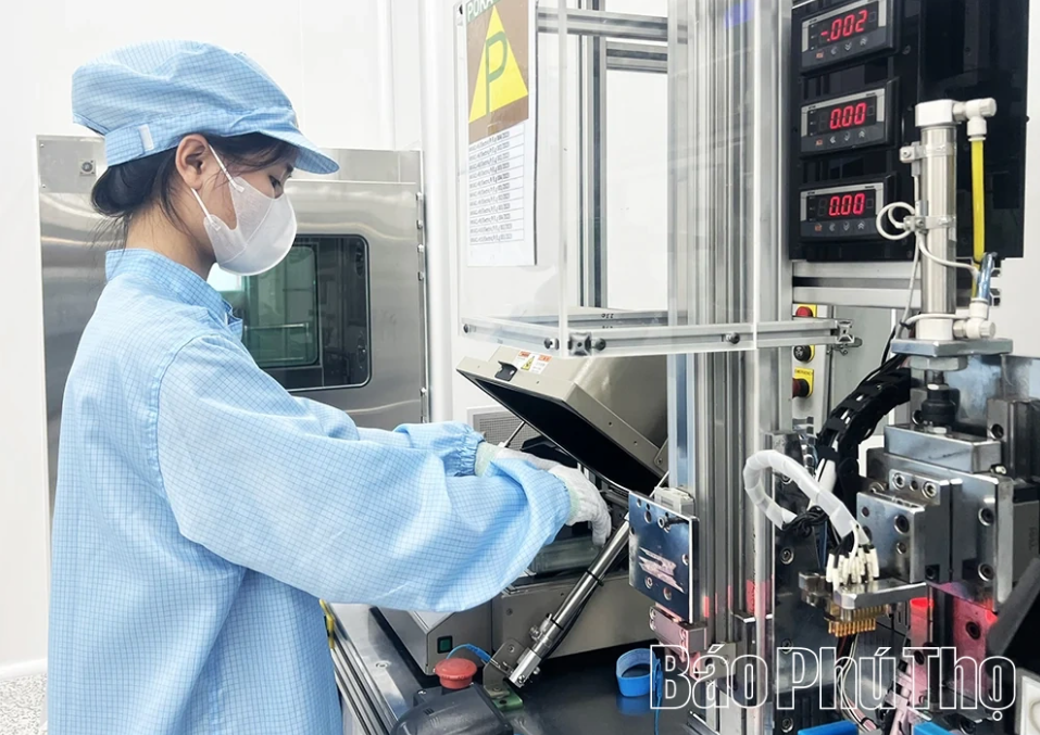 Sức bật của kinh tế tư nhân